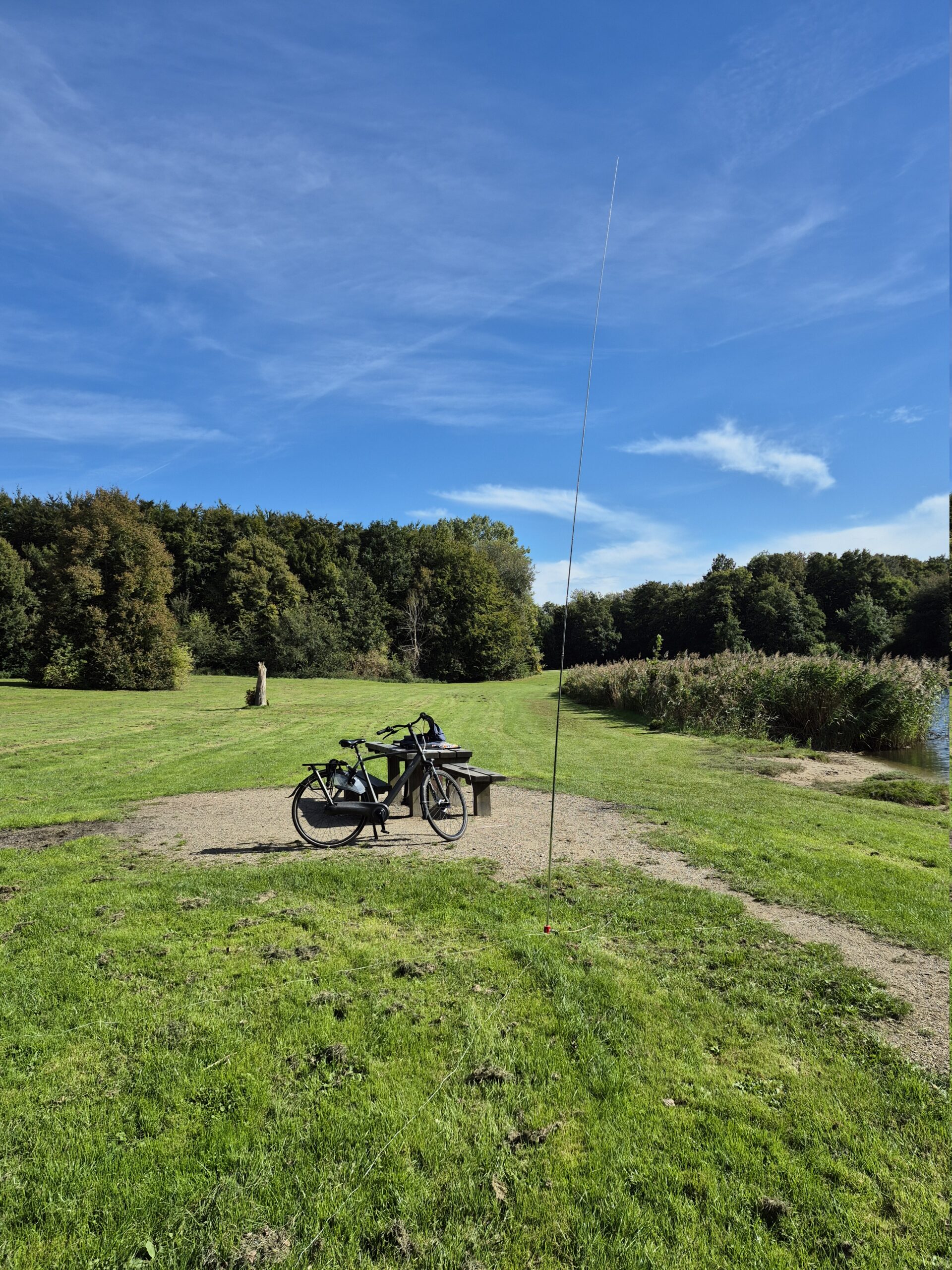 Wisentbos